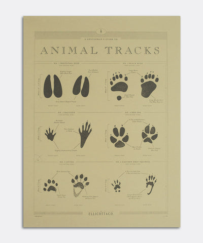 Animal Tracks Poster