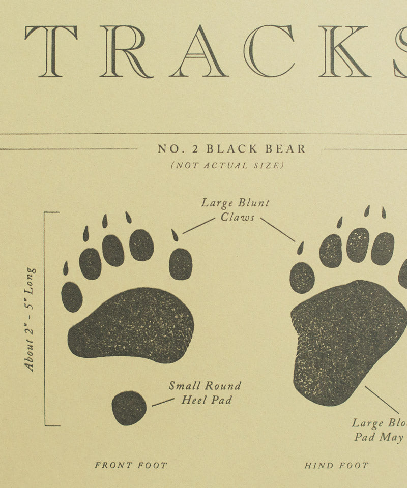 Animal Tracks Poster