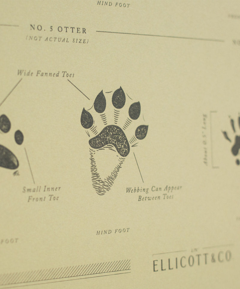 Animal Tracks Poster