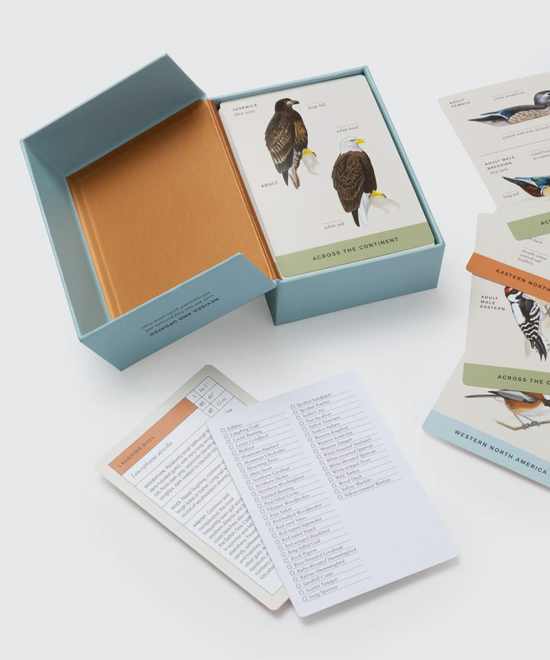 Sibley Backyard Bird Identification Flashcards