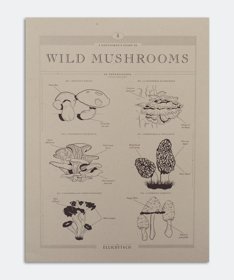 Wild Mushrooms Poster