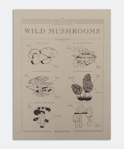 Wild Mushrooms Poster