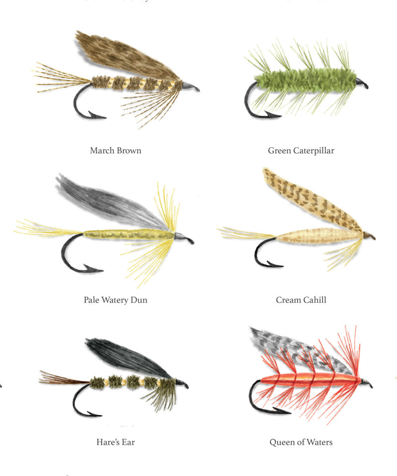 https://www.ellicott.co/cdn/shop/products/Fly-Fishing-Lures-Poster-2.jpg?v=1608582860